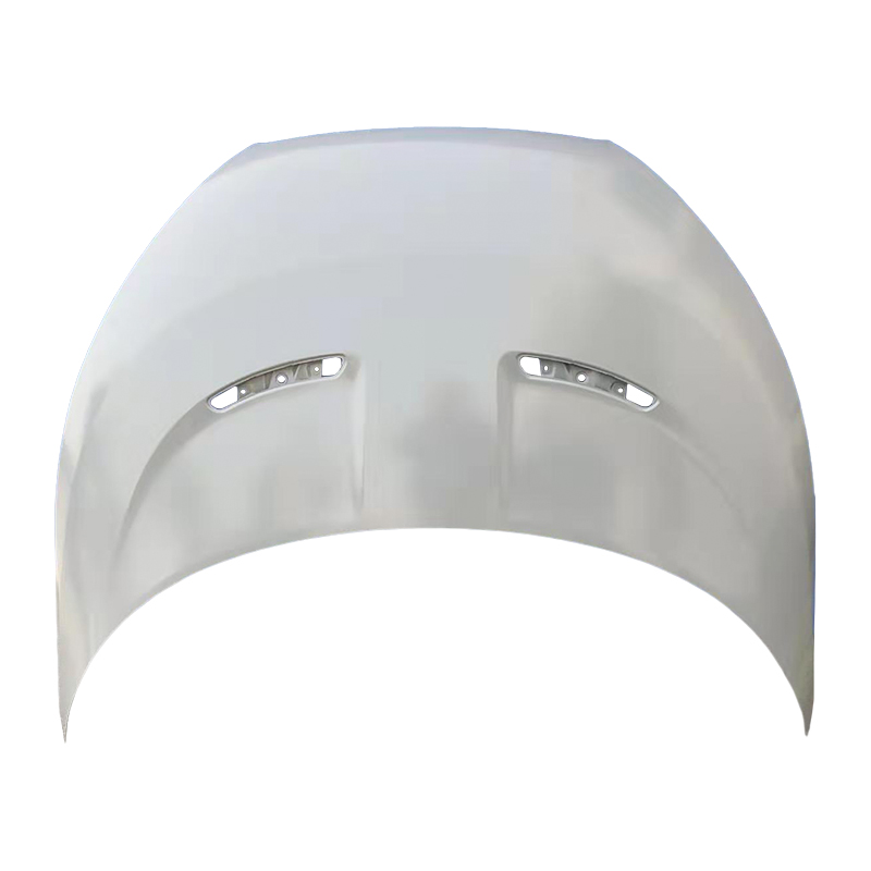 HYUNDA VELOSTER 12 Hood