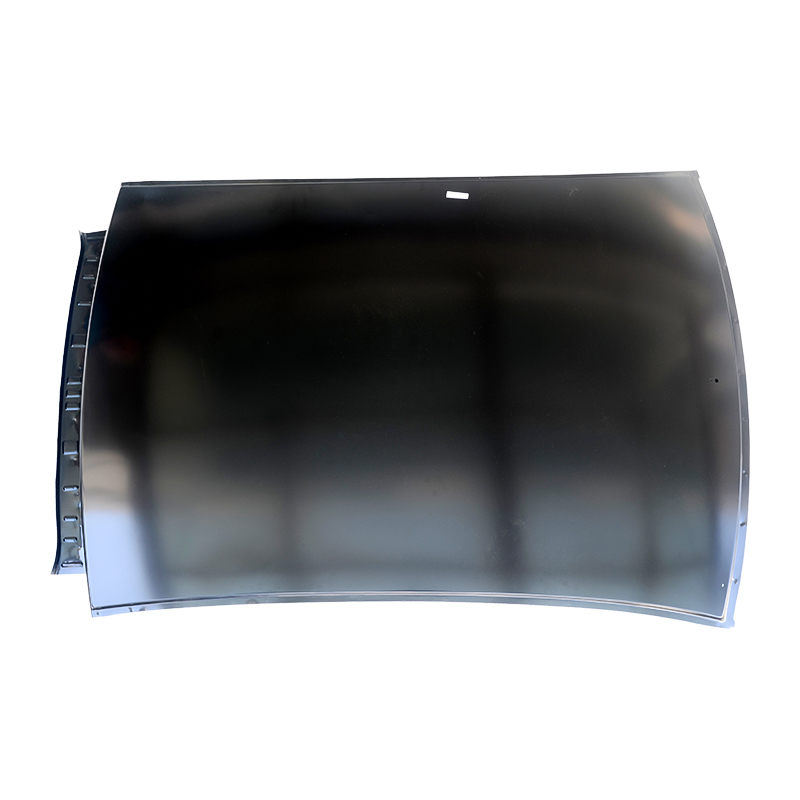 2009 Focus Roof Without Skylight Hatchback