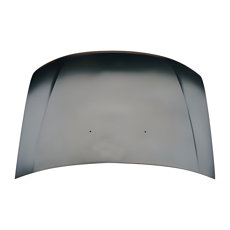 RENAULT DUSTER 09 Hood