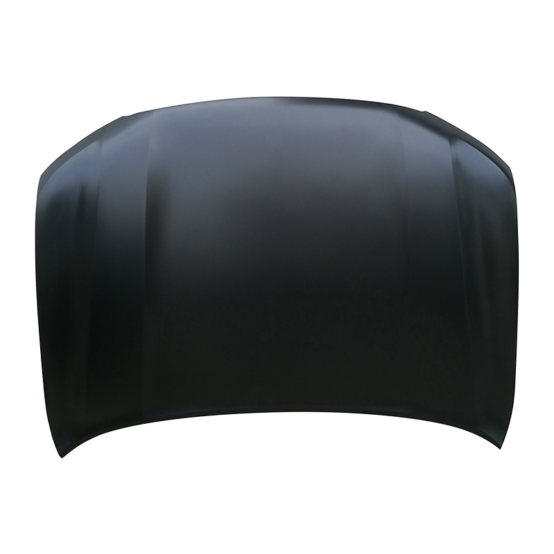 TOYOTA LANDCRUSER 08 Hood